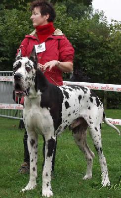 Royce Du Domaine De Valdemar