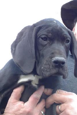 Opra2002021707 De Beauderey