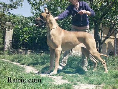 Saviska Des Terres De La Rairie