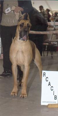 Saviska Des Terres De La Rairie