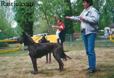Ch Belle Bleue De La Haute Fougere