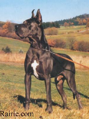 Fabian Von Der Burg Trausnitz