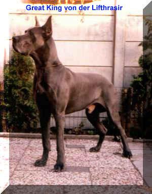 Great King Von Der Lifthrasir