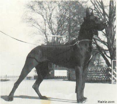 Royale Von Der Eremitage