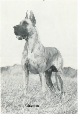 Etzel Von Messestadt Hannover