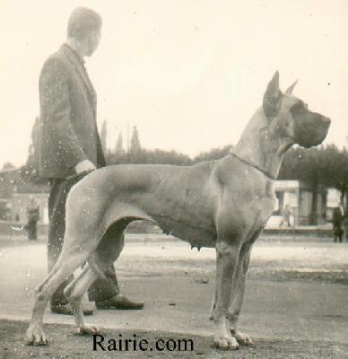 Indra Trutz Und Treu