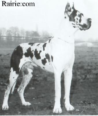 Iran Von Der Ofnethohle