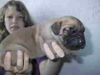 Elena Bocca D�tigre