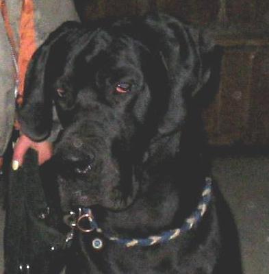 Justin Von Der Barrenburg