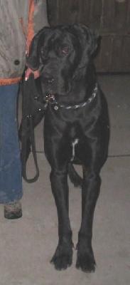 Justin Von Der Barrenburg