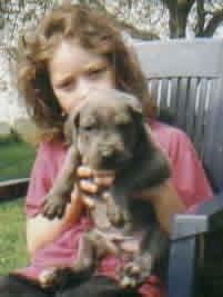 Basil Vom M�rchenland