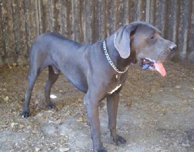 Barnabas Vom M�rchenland