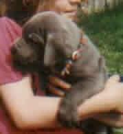 Buschido Vom M�rchenland