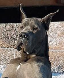 Tula De La Fontaine Aux Tourterelles