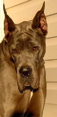 Tula De La Fontaine Aux Tourterelles