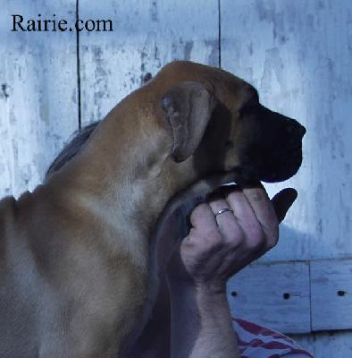 Tomean Des Terres De La Rairie