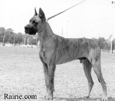 Icone Des Terres De La Rairie