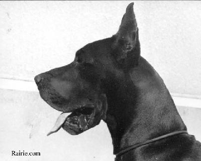 Ch Loyce Des Terres De La Rairie