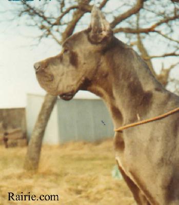Ch Martha Des Terres De La Rairie