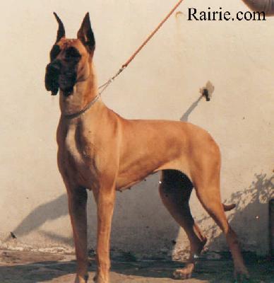 Ch Madian Des Terres De La Rairie