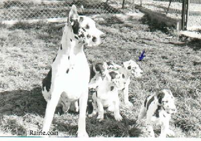 Udile De La Roche Pradiere