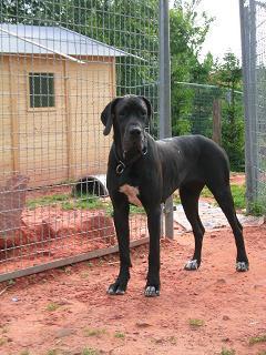 Fabiola Bocca D�tigre