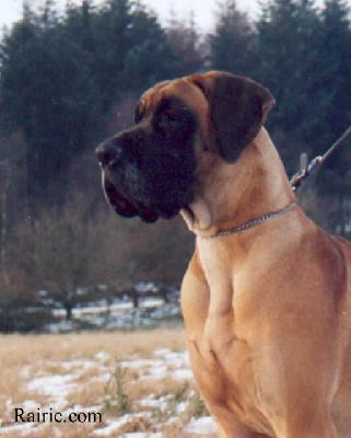 Ch Pauline Des Terres De La Rairie