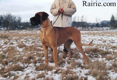 Ch Pauline Des Terres De La Rairie