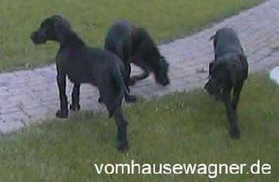 Glamour Vom Hause Wagner