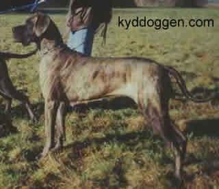 Viviane Von Der Shilo-ranch