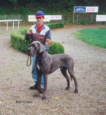 Ferdjanni Von Der Nibelungenburg