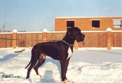 Rhuys Des Terres De La Rairie