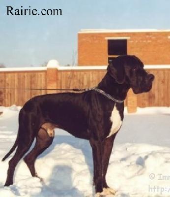 Rhuys Des Terres De La Rairie