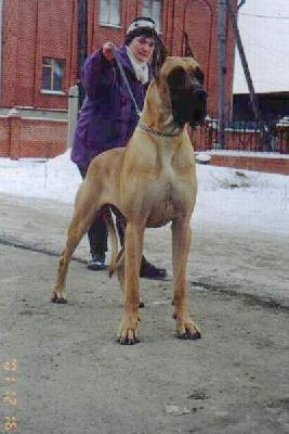 Ch Romane Des Terres De La Rairie