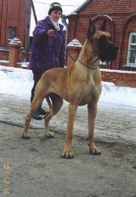 Ch Romane Des Terres De La Rairie