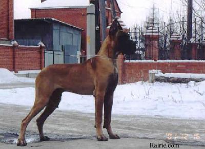 Ch Ricchy Des Terres De La Rairie