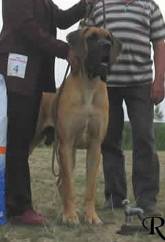 Tilac Des Terres De La Rairie