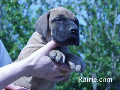 Tilac Des Terres De La Rairie
