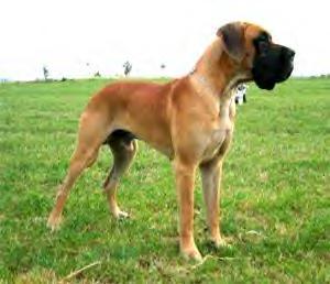 Tilac Des Terres De La Rairie