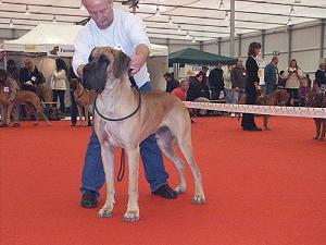 Tilac Des Terres De La Rairie