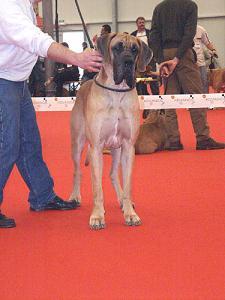 Tilac Des Terres De La Rairie