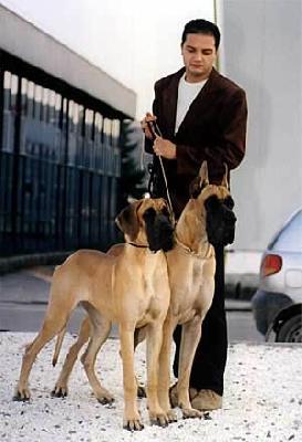 Ch Titan Des Terres De La Rairie