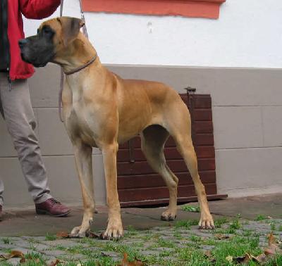 Tscherba Des Terres De La Rairie