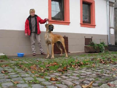 Tscherba Des Terres De La Rairie