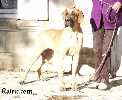 Trinity Fayre Des Terres De La Rairie