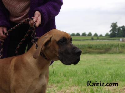Trinity Fayre Des Terres De La Rairie
