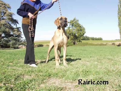 Trinity Fayre Des Terres De La Rairie
