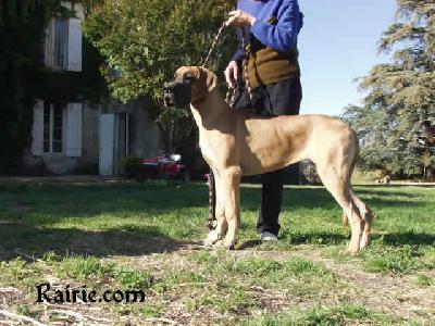 Trinity Fayre Des Terres De La Rairie