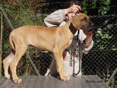 Trinity Fayre Des Terres De La Rairie