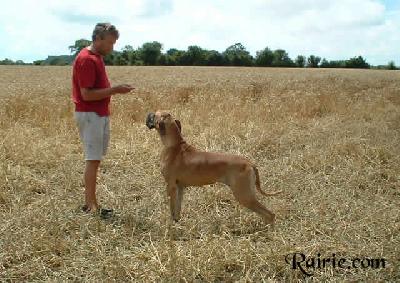 Trinity Fayre Des Terres De La Rairie